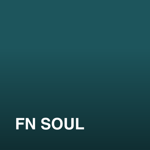 FN SOUL