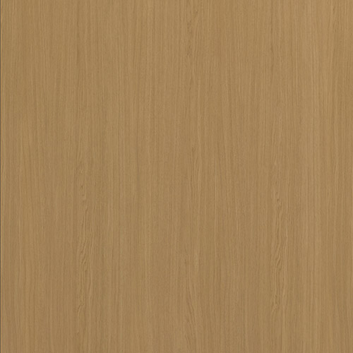 FN Soul Roble America