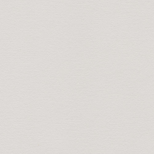 Gris Perla