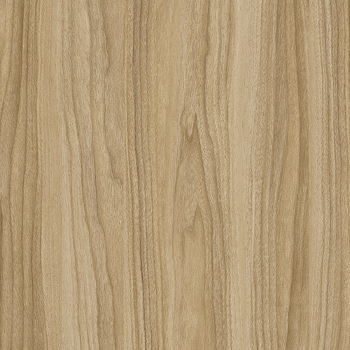 P59 Vanguard Noce Light