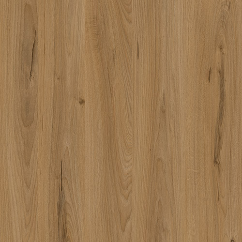 R41 Baycen Natural Medio