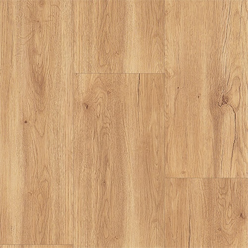 Lalur Roble Canadiense